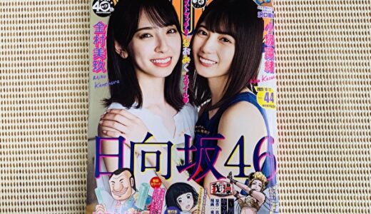 【レビュー】9/28発売「ヤングマガジン No.44」になおみく登場