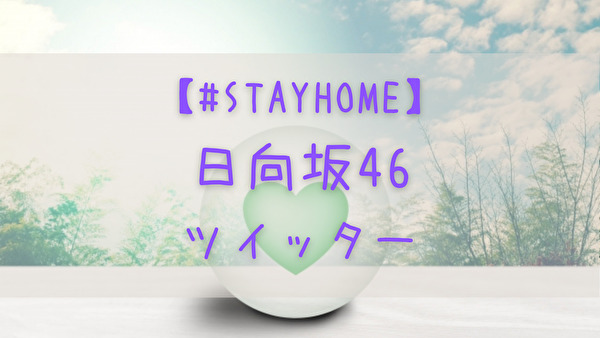 Stayhome 日向坂46メンバーが自作動画をツイッターにアップし話題 かまひろのおひさま応援blog